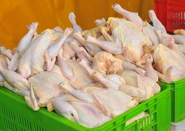 یوسف خانی در گفت و گو با خبرنگاران مطرح نمود؛ ثبات نرخ مرغ در بازار، قیمت هر کیلو مرغ 10 هزار و 900 تومان