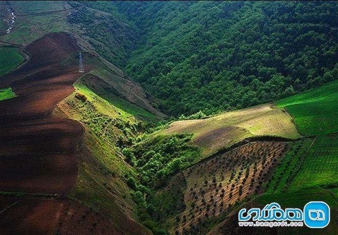 جنگل های هیرکانی ایران ثبت جهانی شدندعزم جدی برای ثبت جهانی هیرکانی