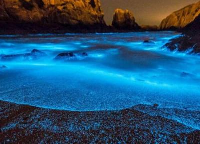 علت نور های آبی عجیب در برخی سواحل چیست؟