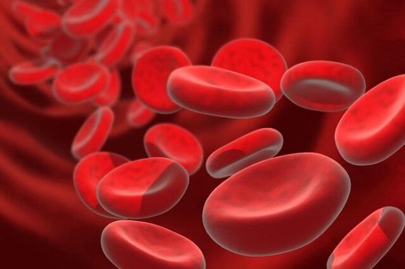 کنترل سطح آهن خون می تواند به افزایش طول عمر یاری کند