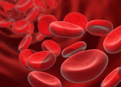 کنترل سطح آهن خون می تواند به افزایش طول عمر یاری کند