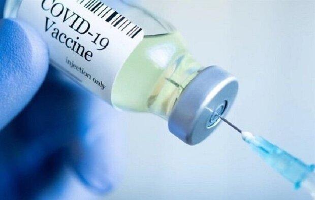 جهش&zwnjهای ویروس کرونا مانع از کارآمدی واکسن نمی&zwnjشود