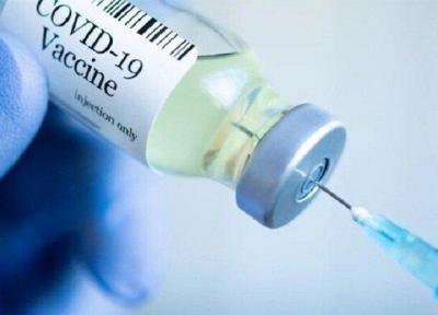 جهش&zwnjهای ویروس کرونا مانع از کارآمدی واکسن نمی&zwnjشود